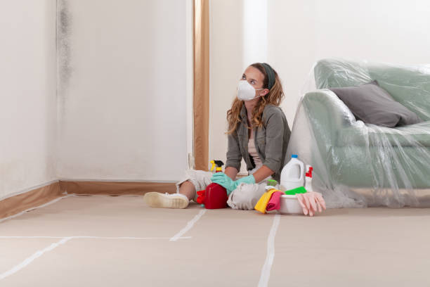 Reliable Mold Testing contractor in Boulder, CO by WQB Mold Removal